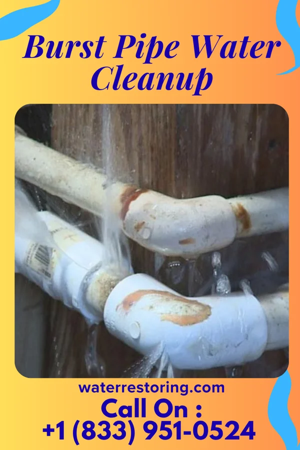 Burst Pipe Water Cleanup in Leonardtown, MD