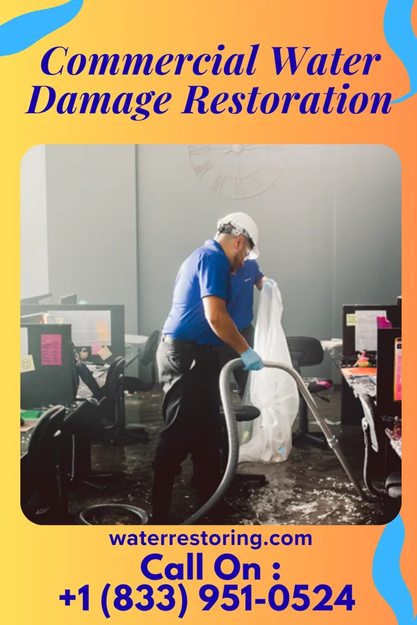 Commercial Water Damage Restoration in Leonardtown, MD
