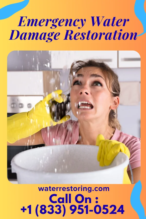 Emergency Water Damage Restoration in Leonardtown, MD