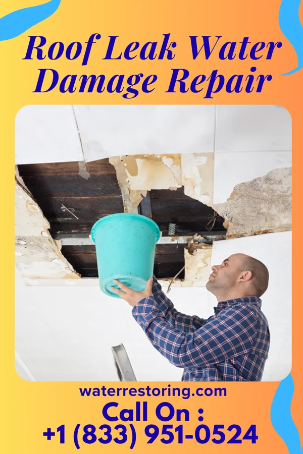 Roof Leak Water Damage Repair in Leonardtown, MD