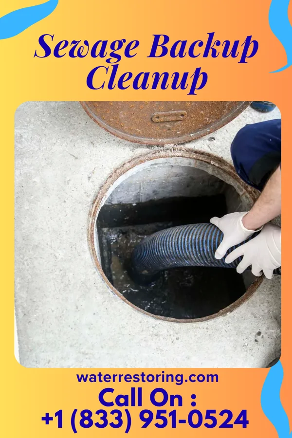 Sewage Backup Cleanup in Leonardtown, MD